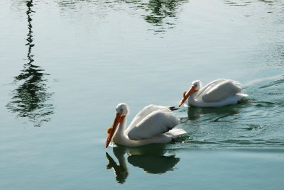PAS_0080.jpg