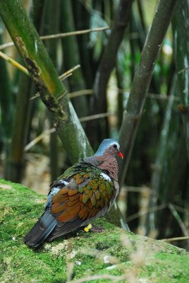 PAS_0137.jpg