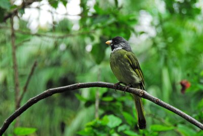 PAS_0151.jpg