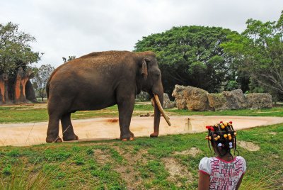 PAS_0158.jpg