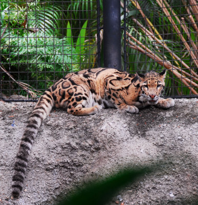 PAS_0178.jpg