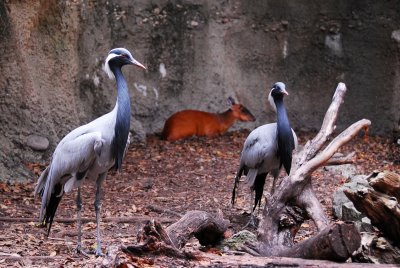 PAS_0181.jpg