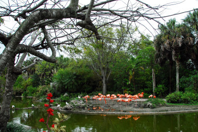 PAS_0248.jpg