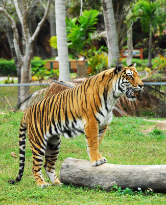 PAS_0268.jpg