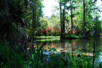 PAS_0071.jpg