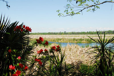PAS_0091.jpg