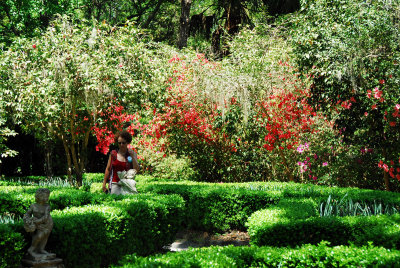Magnolia Plantation