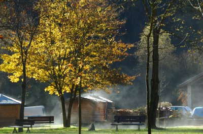 early morning - Trentino