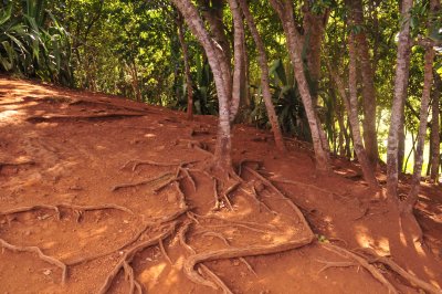 the red earth