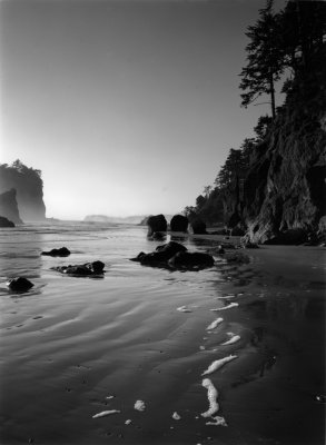 Ruby Beach North, Olympic National Park, WA