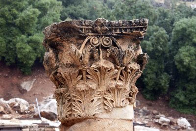 Corinthian Column Head