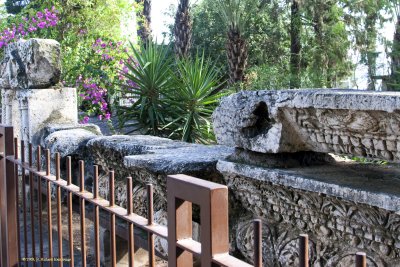 Capstone Garden