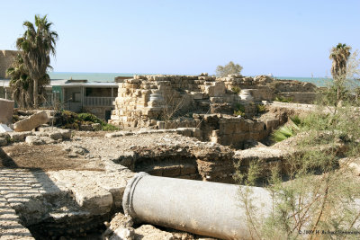 Ruins of the Temple of Caesar