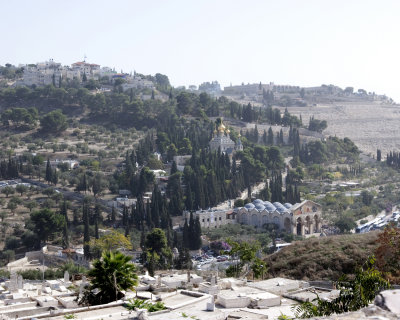 The Mount of Olives from The City Wall