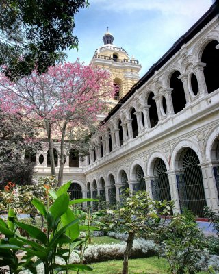 The Garden on the Cathedral Grounds in Lima, Peru