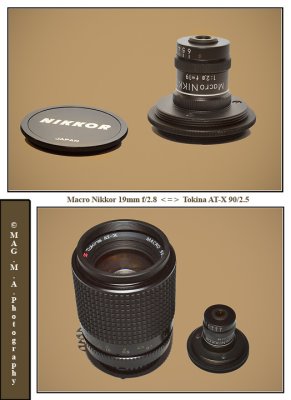 Macro Nikkor 19mm f/2.8 and Tokina AT-X 90/2.5 - size comparison
