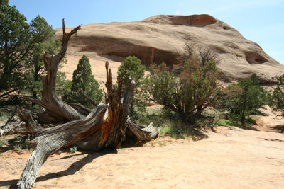 2004 vacation0094.JPG