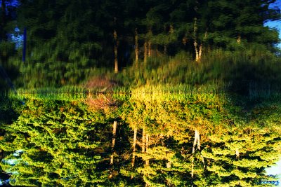 This is the forest primeval. The murmering pines and the hemlocks