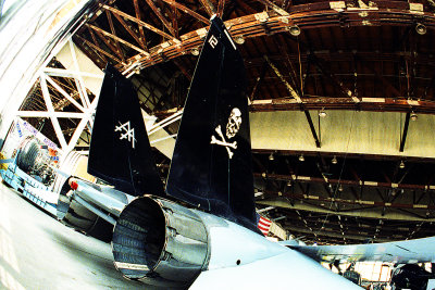tomcat