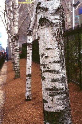 9th Avenue