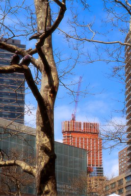 Juilliard