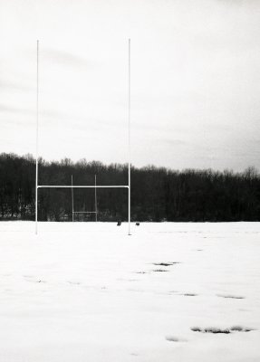remnants of winter - walking the dog