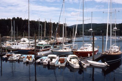 g3/04/714204/3/114180314.gPoYVaLc.jpg