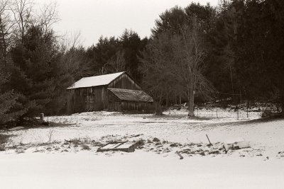 winter lakeshore