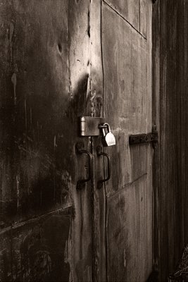 g3/04/714204/3/123505522.Ety3Y5Lk.jpg