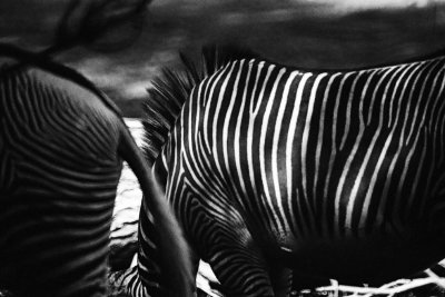 stripes