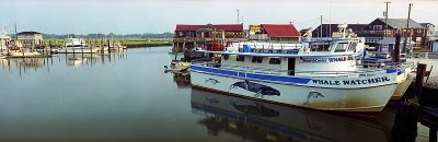 g3/04/714204/3/87605564.nEd2M7j9.jpg