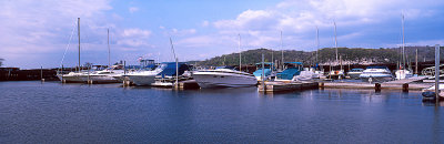 g3/04/714204/3/87644480.mdUlxDFm.jpg
