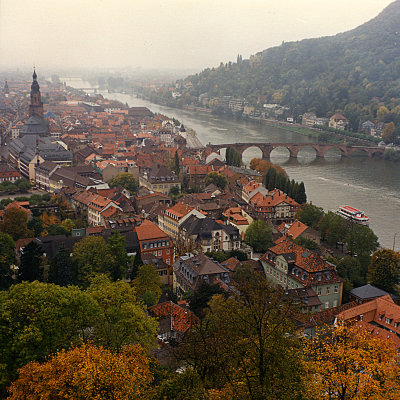 g3/04/714204/3/88059703.LT8o3MMW.jpg