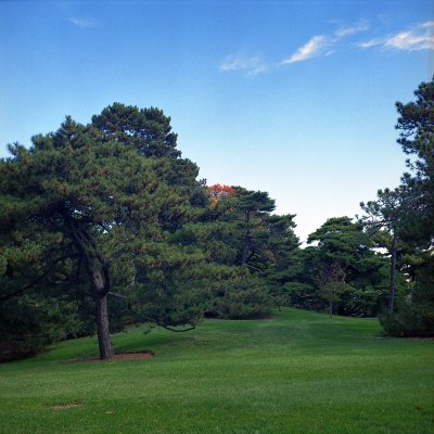Bronx Park