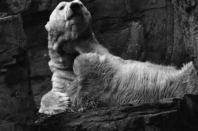 Get the f___ off of me, you big lug!