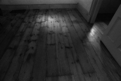 wide board floor.jpg