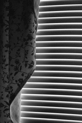 detail 1