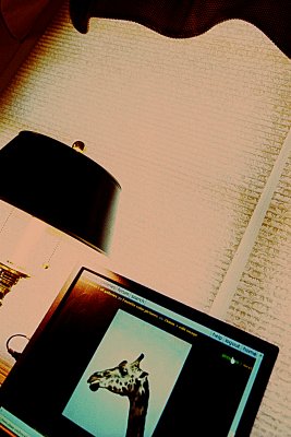 Pbase