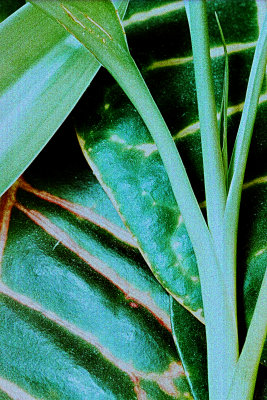just a little green
