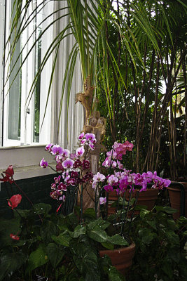 NYC Botanical Gardens