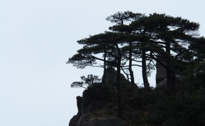 DSC08087.jpg