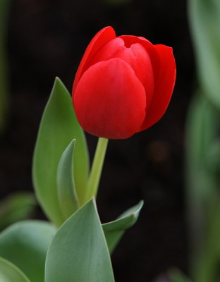 DSC00716.jpg