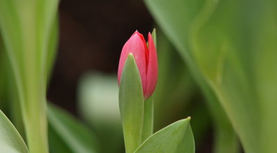 DSC00702.jpg