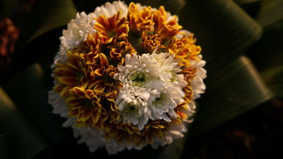 DSC00746.JPG