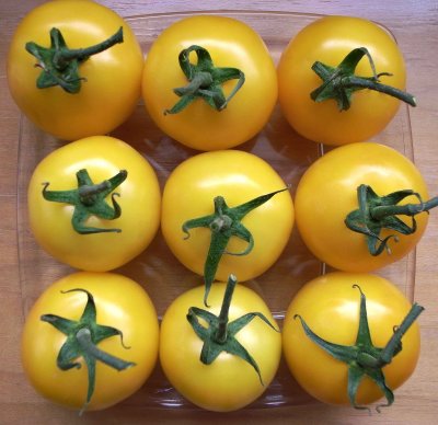 Tomatoes pattern.