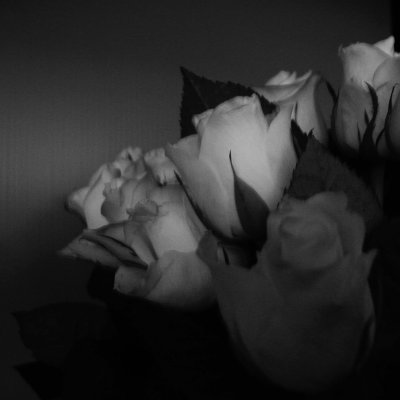 g3/04/731304/3/110646606.LfTAasOz.jpg