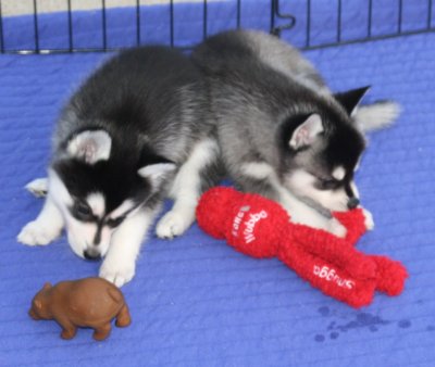 Maggie left Lisa right 044.JPG