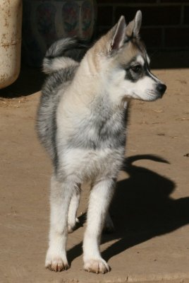 179.JPG