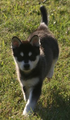 October 28 2007 042.JPG