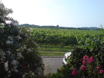 Winery Marcari